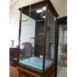 Edwardian Mahogany Glazed Display cabinet: 91cm height x 46cm width x 48cm depth