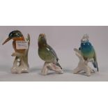 Karl Ens German porcelain birds: to include kingfisher,