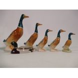 Beswick set of 5 mallard ducks & Peter Scott duck: Largest duck 756-1 has head restuck,