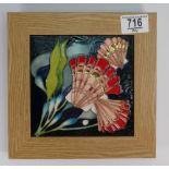 Moorcroft Seashells Plaque: Trail piece dated 11.7.