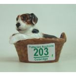 Royal Doulton character puppy in basket HN2587: