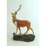 Beswick connoissuer model of a majestic stag on base 2629: (one antler broke and present)