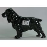 Royal Doulton large Cocker Spaniel HN1000: Lucky Star of Ware.