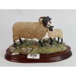 Border Fine Arts classic figures Swalebale new and lamb: Boxed