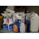 A quantity of cleaning products: bleach, disinfectant, bin bags etc.