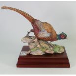 Coalport Model The Pheasant: from the game birds collection,