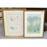 Framed water colour signed Charles Rodwell 1986: together with gilt framed botanical theme print