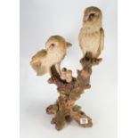 Very Large Resin Figure Group of Barn Owls and chicks: height