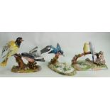 Crown Staffordshire J T Jones Bird Figures: all with minor petal damage(3)