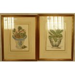 A collection of colour prints decorated with botanical scenes(2):