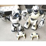 2 Large Robosapian Robots: