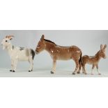 Beswick donkey: model 1364B, donkey foal and a Nigerian pot bellied pygmy goat (3)