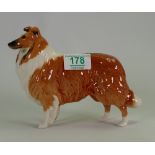 Beswick Collie dog: model 1791