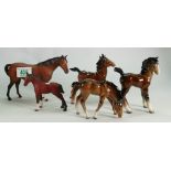 Beswick comical foal: model 728, stretched foal 836, grazing foal 946, brwon matt foal 1816, brown