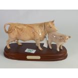 Beswick Connoisseur model of Charolais Cow and Calf: on wooden plinth