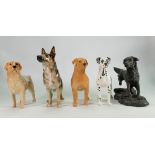 Beswick Ladrador: model 1548, golden retriever 2287, Dalmation 961 and two similar dog figures (5)