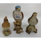 A Beswick Kestrel 2316, Song Thrush 2308 & Cedar Waxwing: (3).