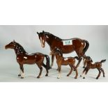 Beswick brown mare: model 976, foal model 996, brown foal model 1084, pony head up model 1197 (4)