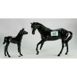 Beswick black beauty: and foal (2)