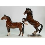 Beswick rearing welsh cob:model 1014 ( 2nd version) together with brown welsh cob model 1793 (2)