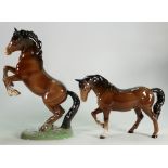 Beswick brown stocky joggy mare: model 855 together with a rearing welsh cob (1st version) model