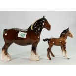 Beswick shire: model 818 together with large shire foal ( 1 leg damaged) (2)