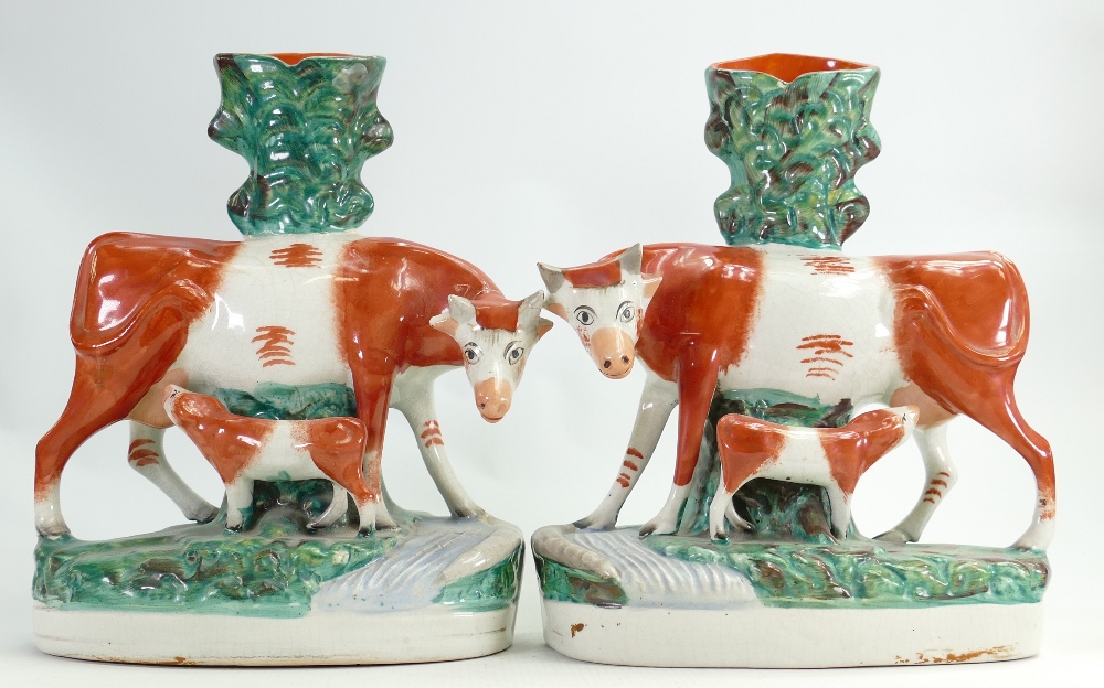 Pair of 19th Century Staffordshire Pottery spill vases: In the form of Hereford cow & calf (neck to