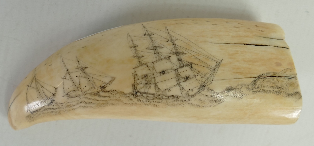 19th century Scrimshaw Whales tooth etched both sides with ships: Height 13cm.