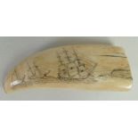 19th century Scrimshaw Whales tooth etched both sides with ships: Height 13cm.