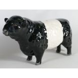 Earthenware model of a Galloway Bull: