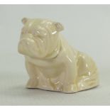 Royal Doulton model of a miniature sized seated bulldog: Rare all white version c1940, height 6cm.
