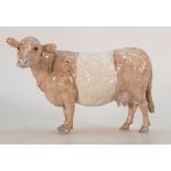 Beswick prototype Galloway cow 4113A: In dunn belted colours,