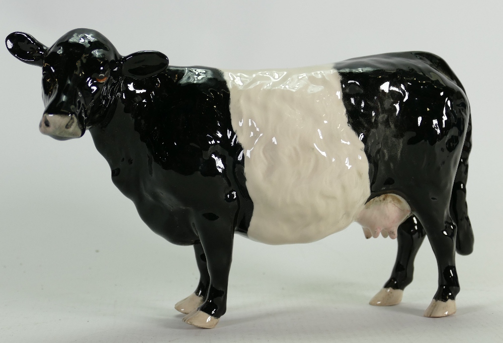 Beswick belted Galloway cow: Model 4113A.