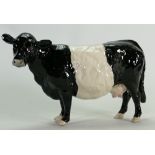 Beswick belted Galloway cow: Model 4113A.