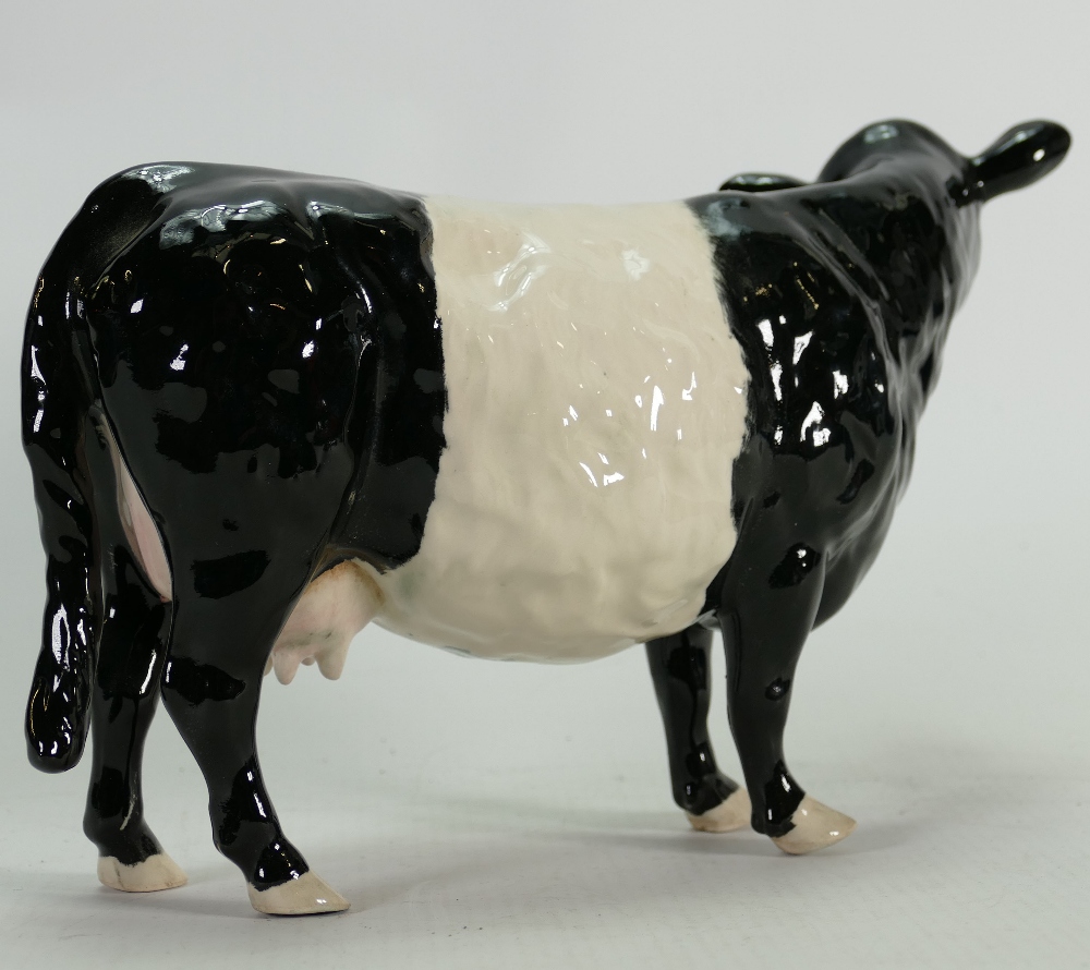 Beswick belted Galloway cow: Model 4113A. - Image 3 of 3