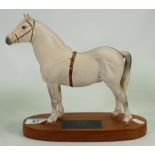 Beswick Connoisseur Champion Welsh mountain Pony 2541A: