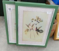Two Early 20th Century Prints of Humming Birds(2):