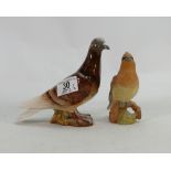 Beswick Brown Pigeon 1383: together with similar matt Cedar WaxWing 2184(2)