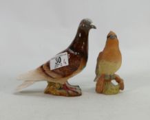 Beswick Brown Pigeon 1383: together with similar matt Cedar WaxWing 2184(2)