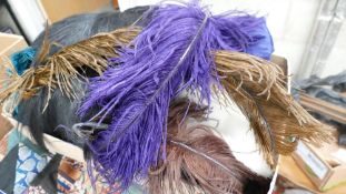 A collection of Feather & Furs: together with similar Fur Muff