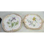 Spode bone china botanical dinner plate and similar cake plate (2):