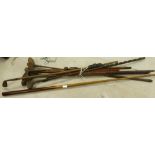 A collection of eight Hickory shafted Golf Clubs including: Drivers,woods and irons,
