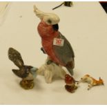 A Beswick collection of birds: including large model of a cockatoo 1918: (tip of crown restuck),