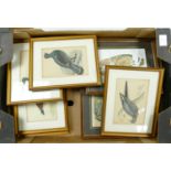 A collection of framed bird theme pictures: to include owls, ducks etc (9)