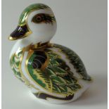 Royal Crown Derby paperweight DERBYSHIRE DUCKLING: Gold stopper, certificate, first quality,