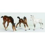Beswick collection of foals: Including grey foal 1816, and two brown foals.