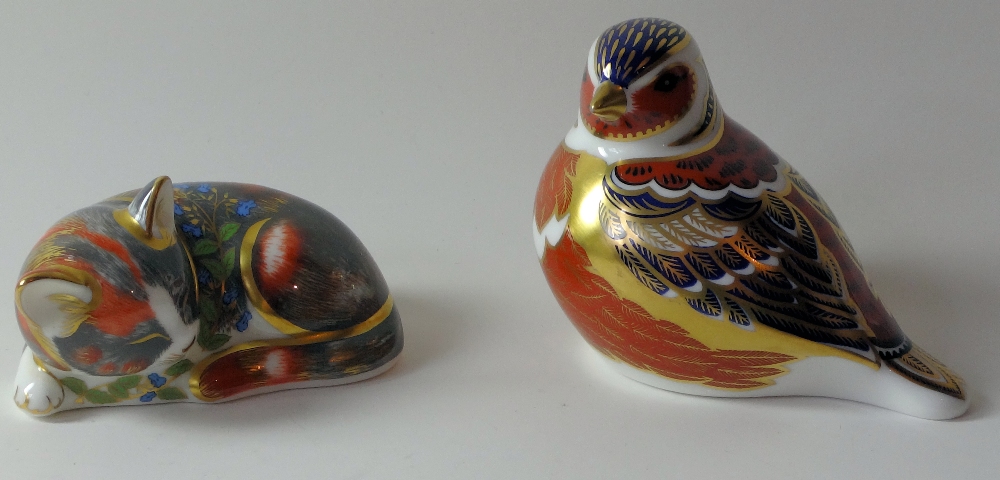 Two x Royal Crown Derby paperweights CATNIP KITTEN (Collectors Guild) & Sinclairs Chaffinch: