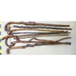 A collection of twisted Hazel and similar primitive walking sticks (9):