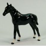 Beswick rare black gloss thoroughbred foal 1813: