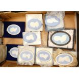 A collection of Wedgwood cased oval plaques (9):